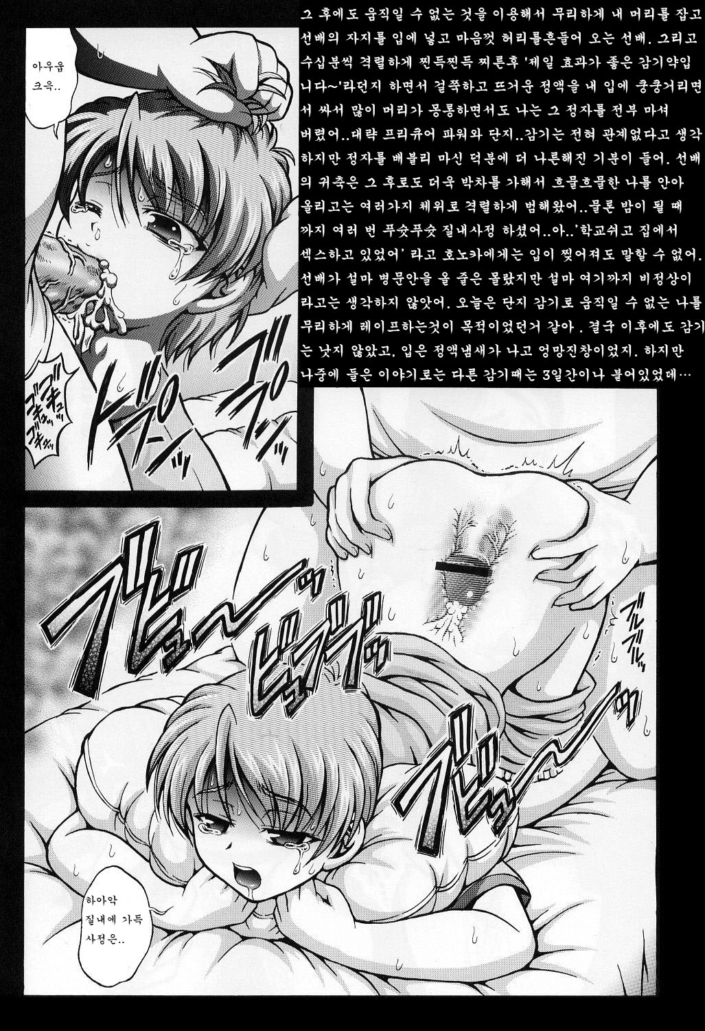 Precure Diary _Episode I-II_   Milk Hunter Special page 10 full
