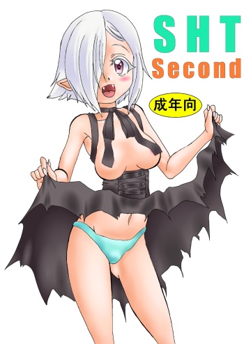 SHT Second cover