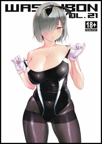 WASANBON Vol. 21 cover