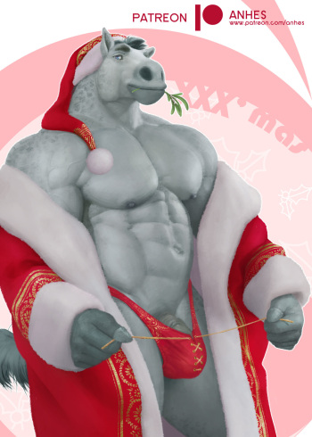 Festival Collection cover