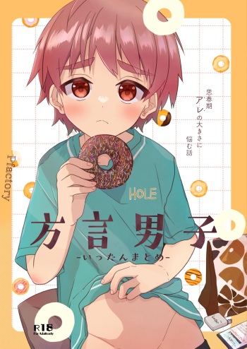 Hougen Danshi Ittan Matome cover