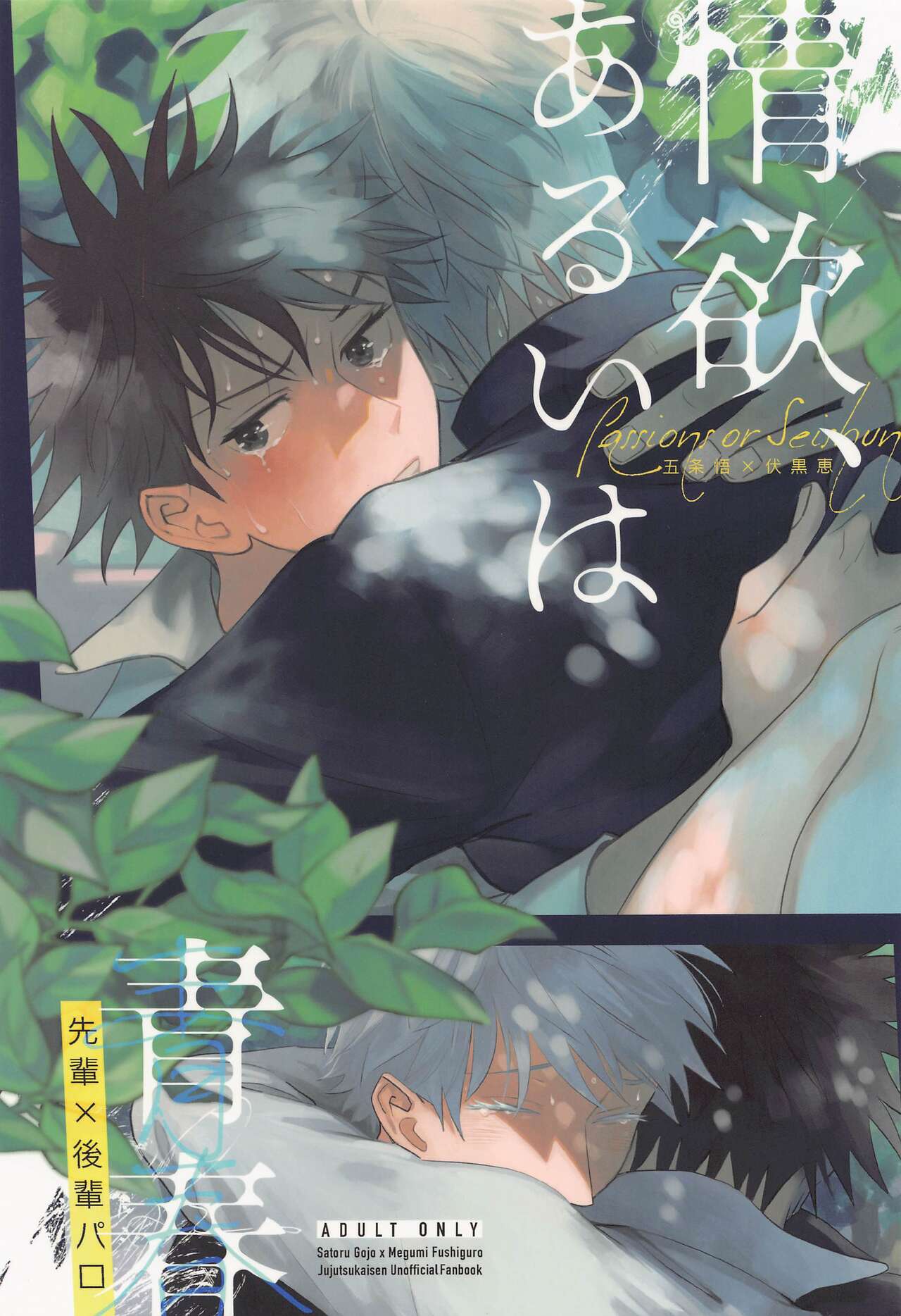 joyoku、aruihaseishun page 1 full