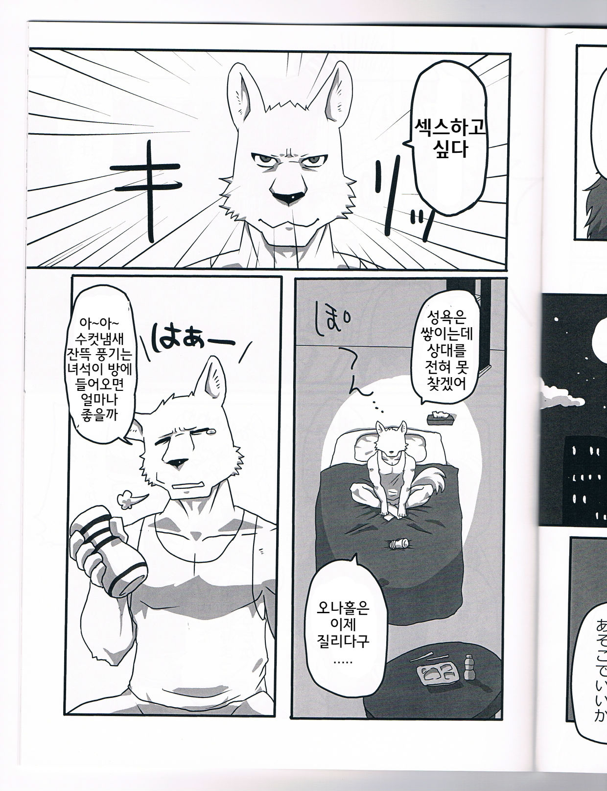 NON CATTLE page 7 full