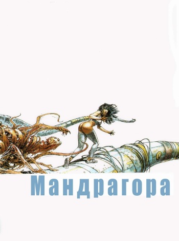 Druuna 5 cover