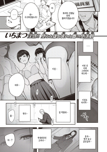 Kankou cover