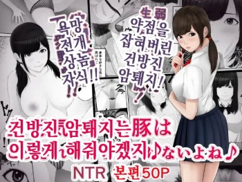 Namaiki na Mesubuta wa Kou Sarenakucha Ikenai yo ne cover