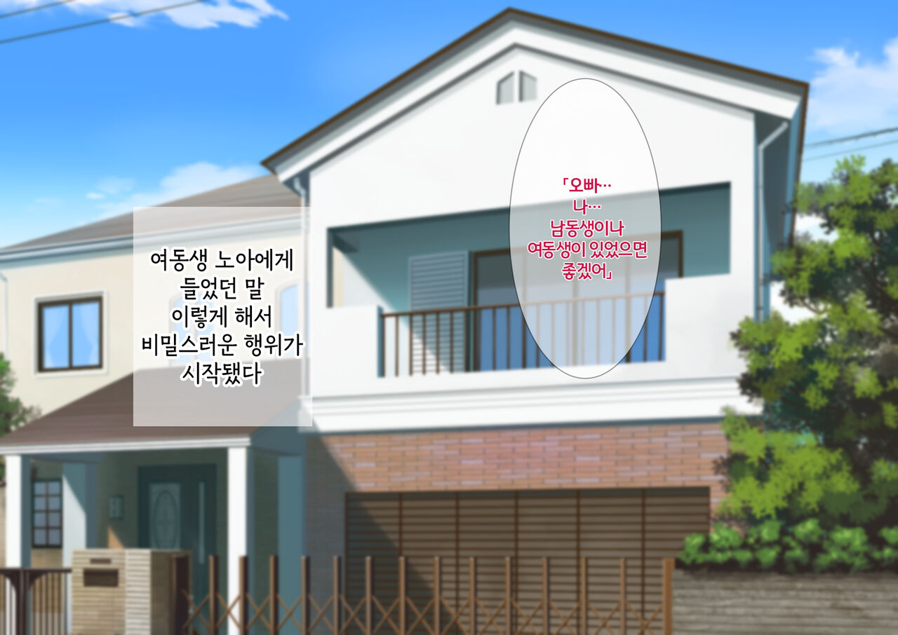 여동생과 은밀한 아기만들기 생활. 배란일에는 질내사정이야 page 3 full