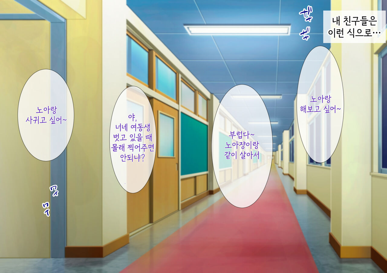 여동생과 은밀한 아기만들기 생활. 배란일에는 질내사정이야 page 6 full