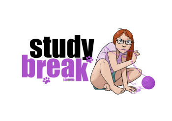 Study Break cover