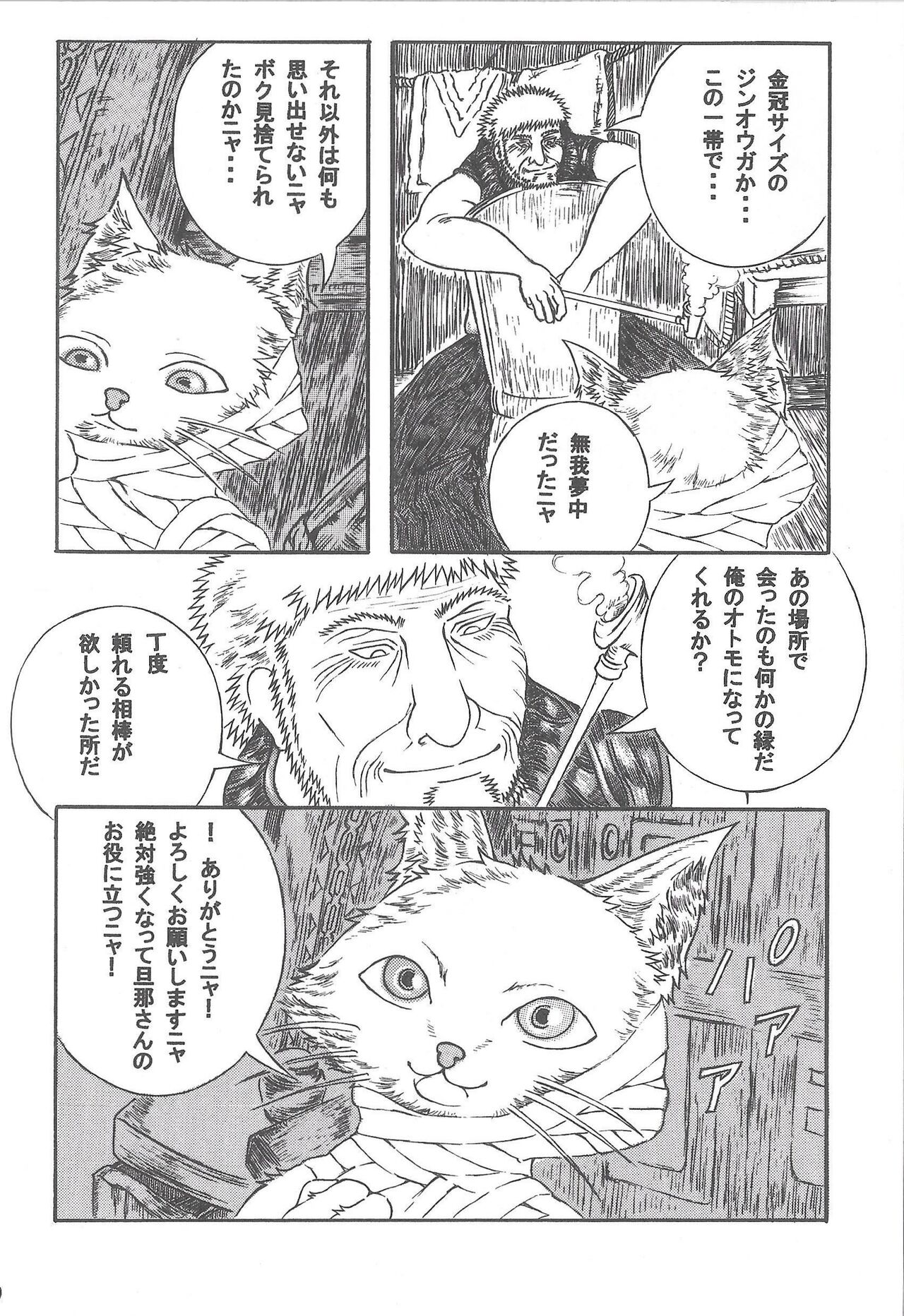 Airu Monhun Dream page 9 full
