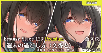 Ecstasy Stage 123 Premium 週末の過ごし方 cover