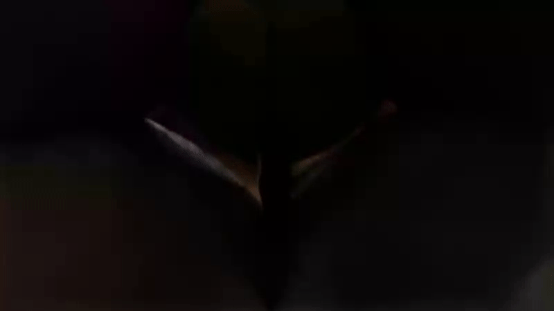 Shazneon page 4 full