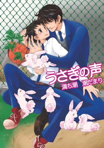 Usagi no Koe cover