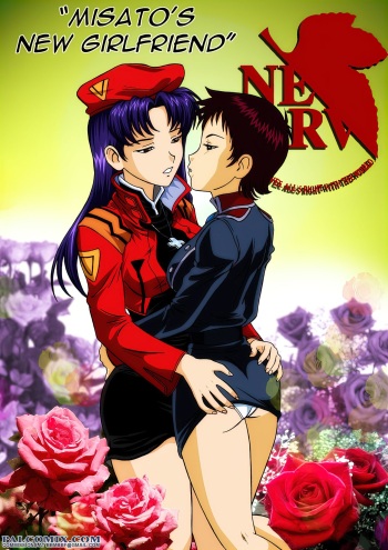 Misato's New Girlfriend cover