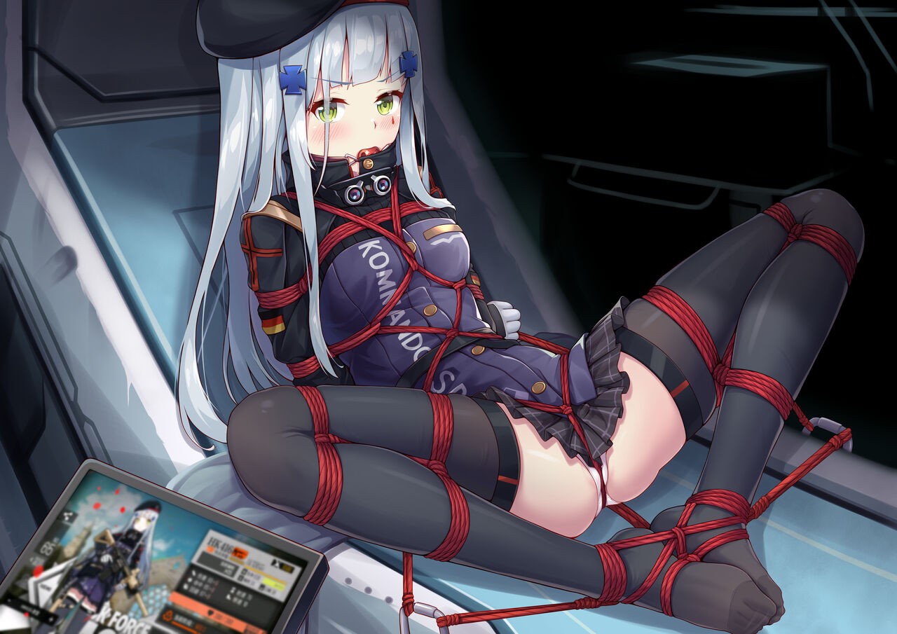 HK416 Modification Inspection page 4 full