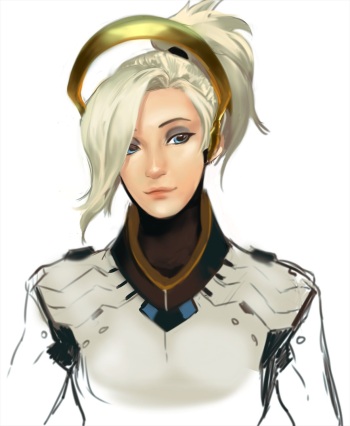 Overwatch collection cover