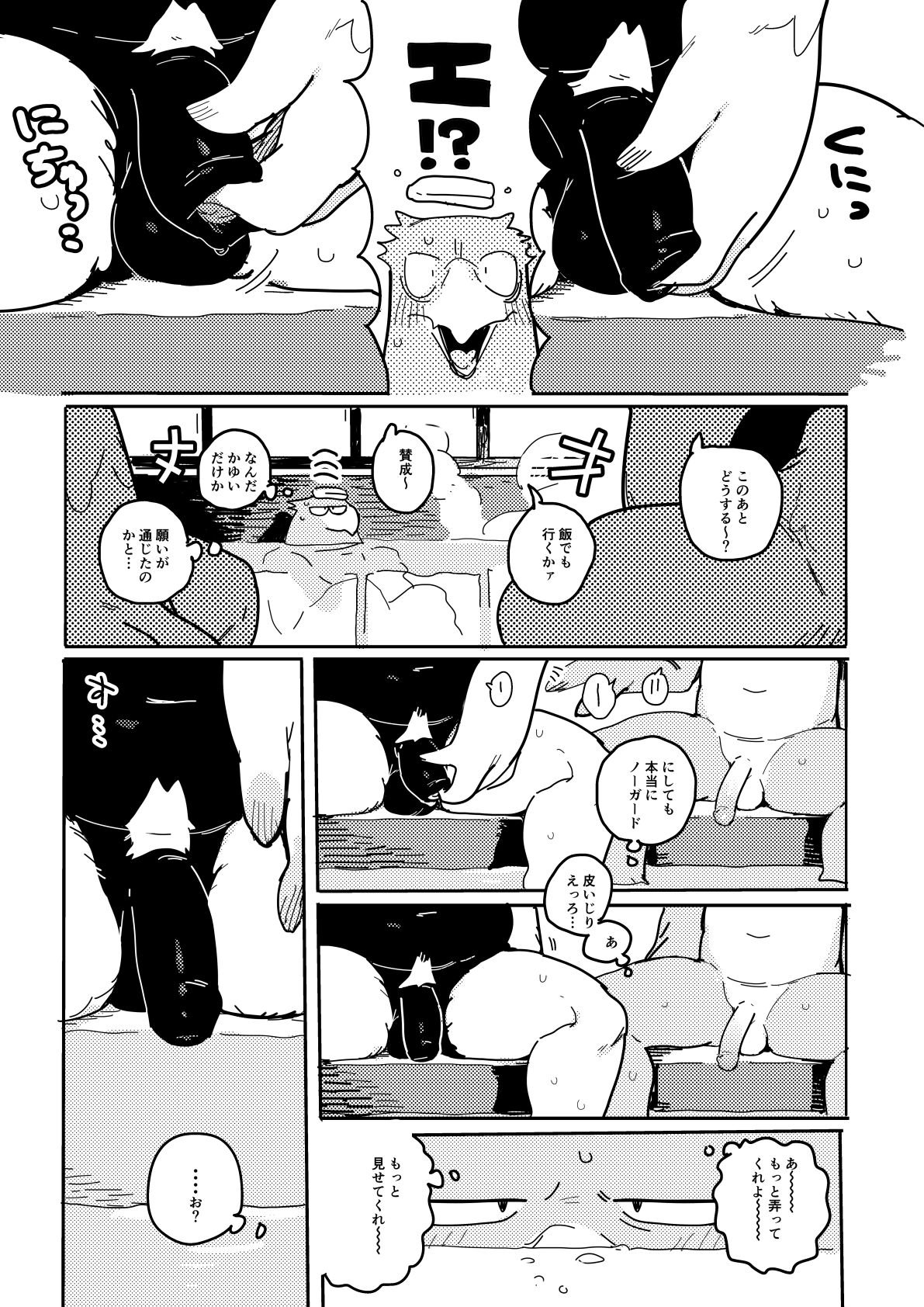 - BIRD IN SPA! page 3 full