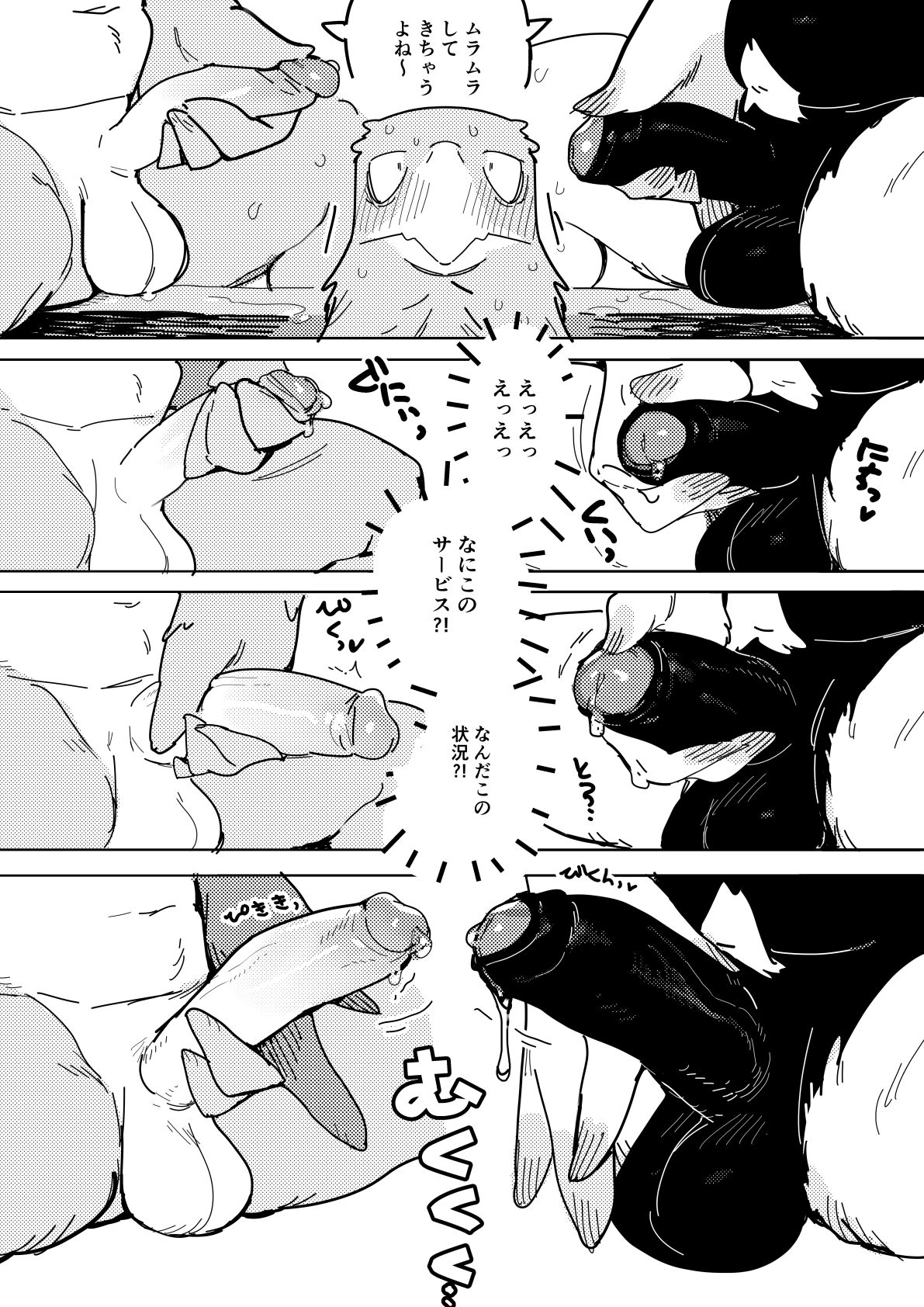 - BIRD IN SPA! page 9 full