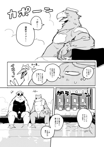 - BIRD IN SPA! cover