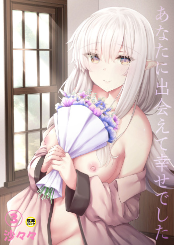 Anata ni Deaete Shiawase deshita 3 cover