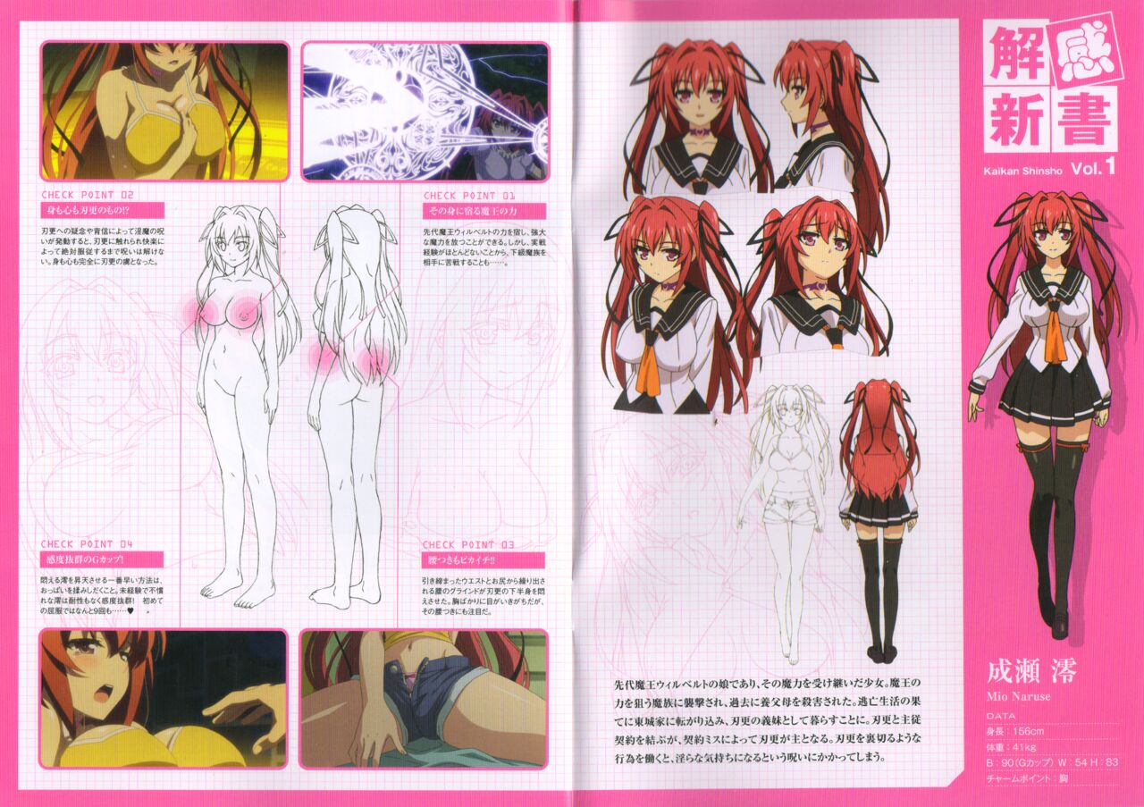 Shinmai Maou No Testament S1-S2 BD Scans + Booklet page 1 full