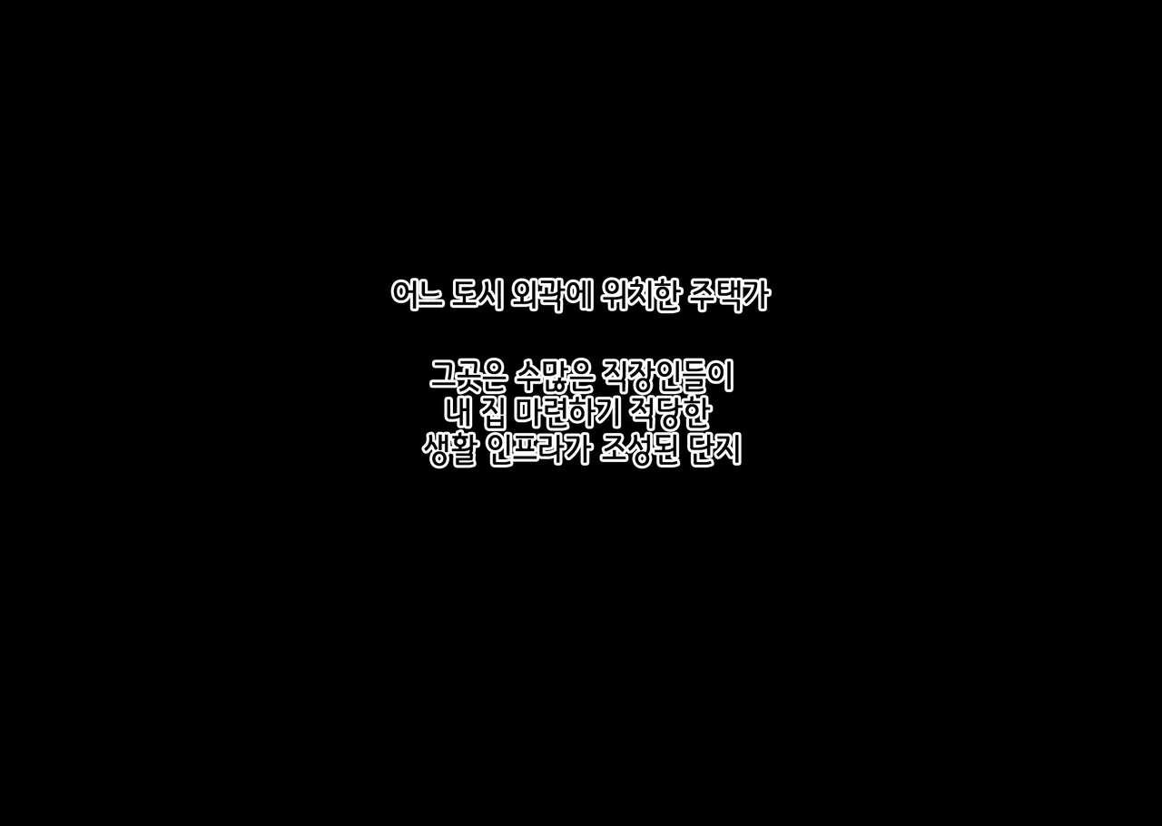 Netorareta Kenage na Seisozuma ga Haramiochi suru made | 빼앗겨버린 부지런하고 청초한 아내가 임신타락 할 때까지 page 3 full