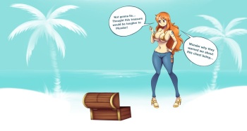 Nami's Treasured Chest cover