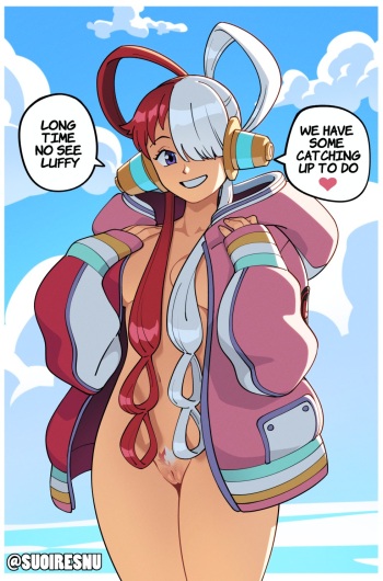 One Piece cover