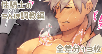 Seikishi no Chinpo Choukyou Hen cover