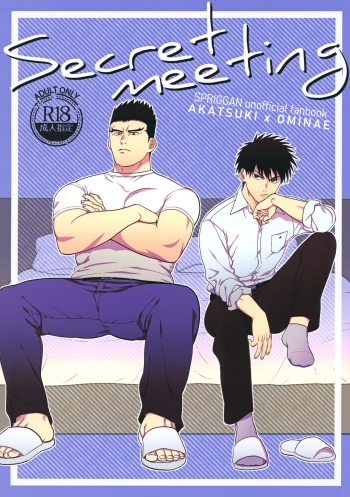 Secret meeting cover