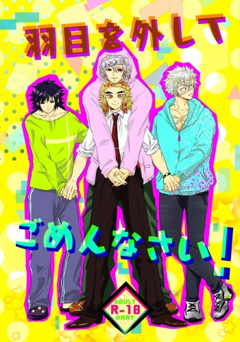 Hame o Hazushite Gomennasai! cover