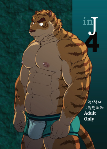 in J 4 cover