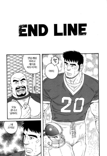 END LINE cover