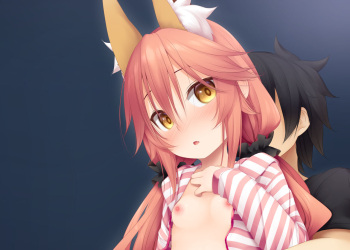 Chiisana Tamamo no Mae to Kijoui o Shifuku Ver cover