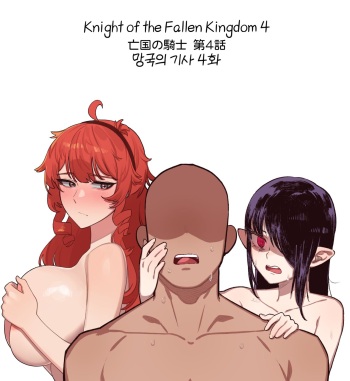 Knight of the Fallen Kingdom 4 cover