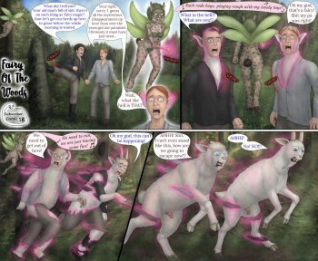 Fairy Of The Woods cover