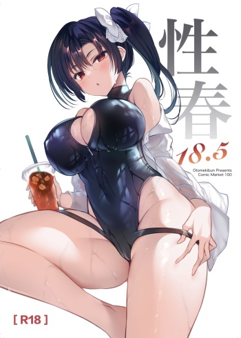 Seishun 18.5 cover