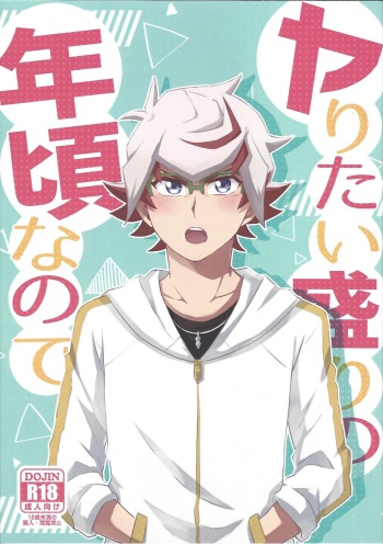 Yaritai Mori no Toshigoro nanode cover