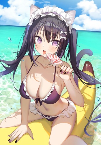 pixiv - Mintice cover