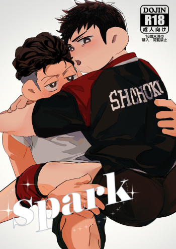 Spark cover