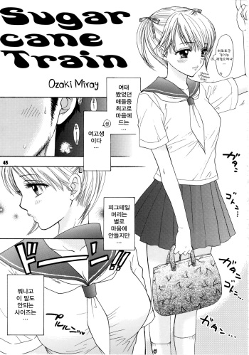 Sugar Cane Train cover