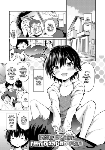 Imouto Mesu-ka Keikaku | Little Sister Feminization Plan cover