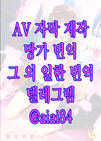 비밀 + 토라노아나 한정 리플릿 ① cover