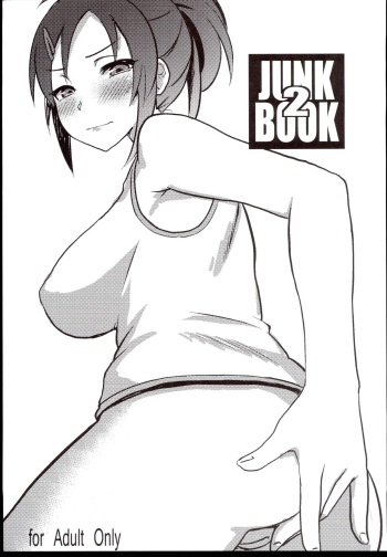 JUNK BOOK 2 cover