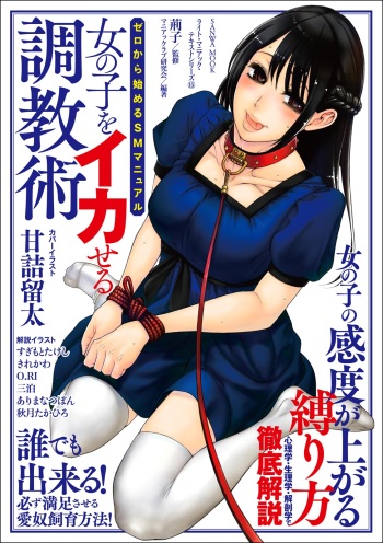ゼロから始めるSMマニュアル 女の子をイカせる調教術 cover