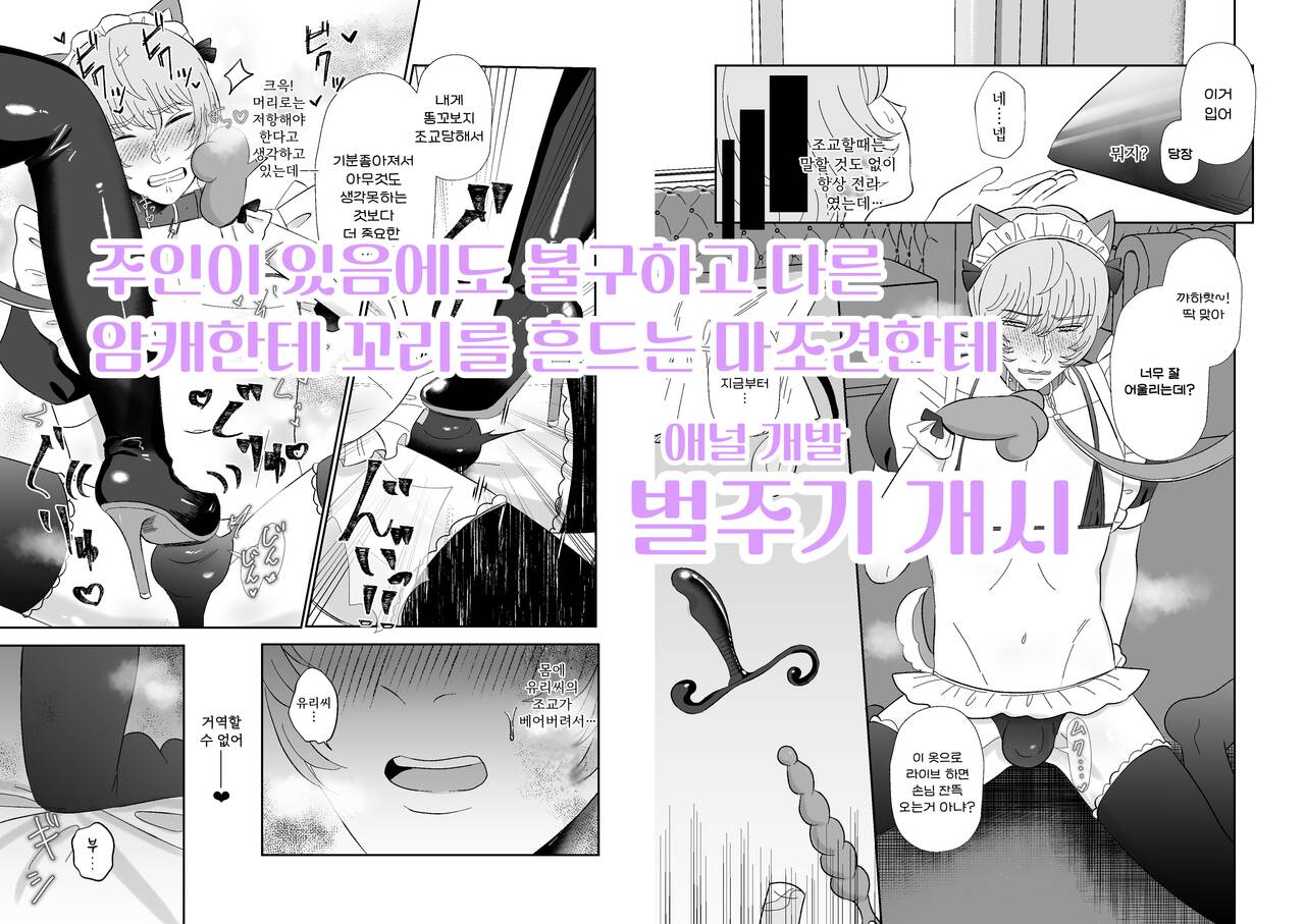 Maso ga Daikoubutsu na Onee-san no Anal Choukyou. | 마조가 매우 취향인 누나의 애널조교 page 5 full
