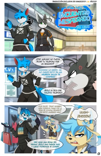 Unexpected Meet Up cover