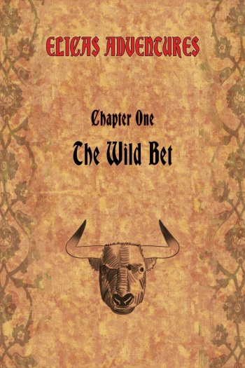 Elica's adventures - Chapter One : The Wild Bet cover