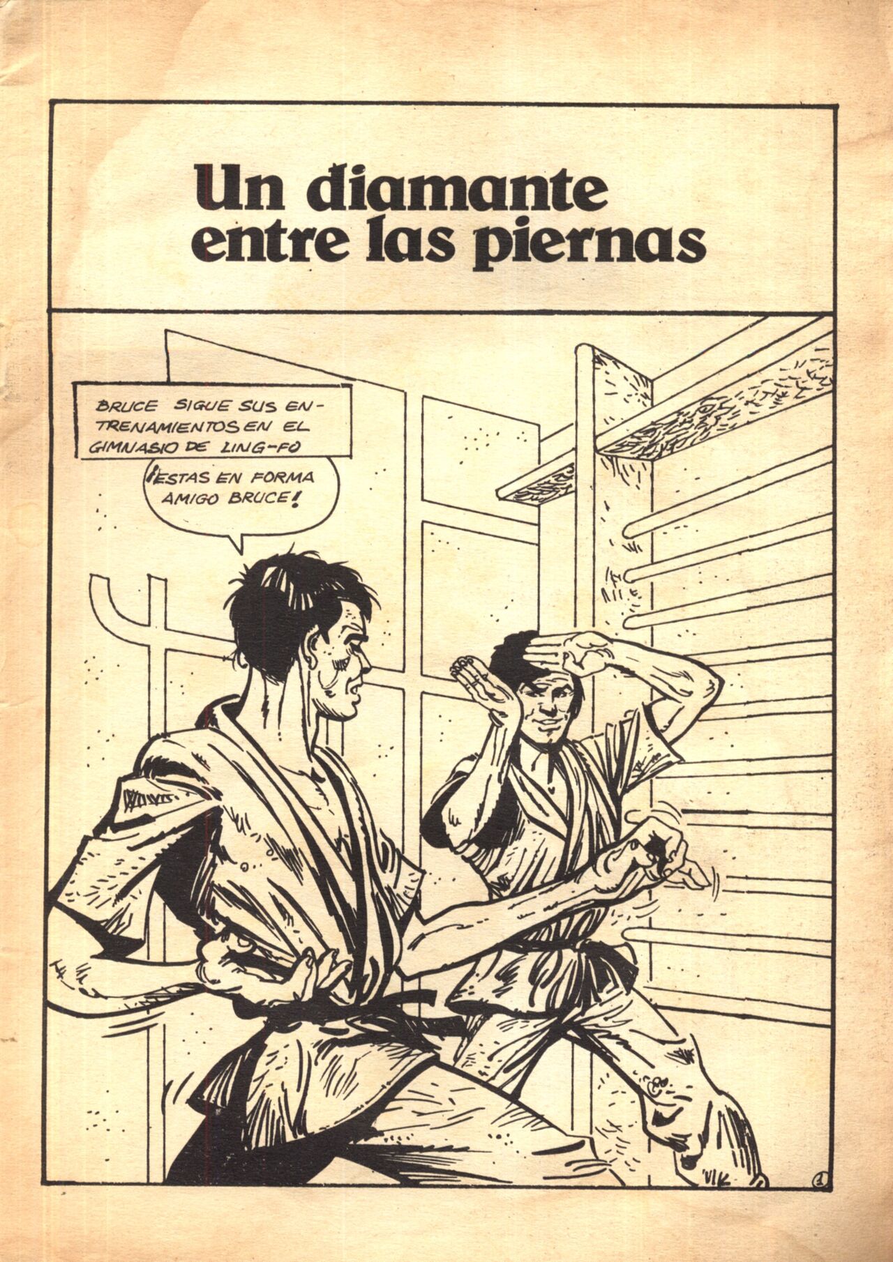 Bruce Seex karateca del sexo n°2 page 3 full