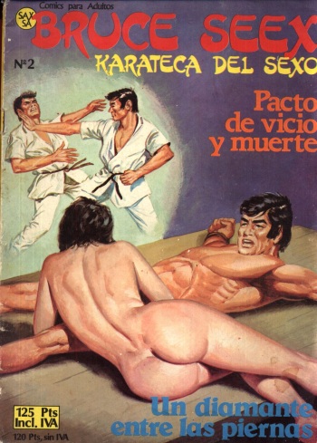 Bruce Seex karateca del sexo n°2 cover